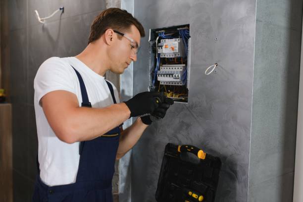 Best Affordable Electrician  in Rogers, MN